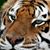 Lonard Kindell's profile image