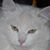 Deanna Johnson's profile image