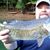 Monroe Helton's profile image