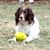 Scott Henshaw's profile image