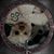Denise Brooks's profile image