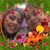 Dilma Aldana's profile image