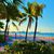 Tracey Reichstein's profile image