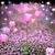 Mary Kay's profile image