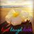 Donna Fortin's profile image