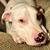 Tracy Doyle's profile image