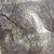 Sharon Hamilton Hagemann's profile image
