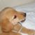 Deb Renaldi's profile image