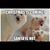 Kathy Colliegirl's profile image