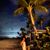Maribel Arreola's profile image