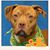 Suzan Berberich's profile image