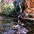 Briana Jo Brusch's profile image