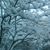 Kerri Pedersen's profile image