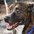 Randy Hettenhausen's profile image