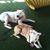 Nichole Russell Taylor's profile image