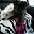 Vikki Samburg's profile image