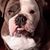 Rita Andrews Brestrup's profile image