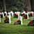 Bonnie Strayer's profile image