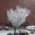 Heike Hepp Rael's profile image