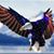 Kelvin Lewis's profile image