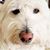 Carol J Thiel's profile image
