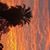 Airam Gomez's profile image
