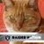 Dolly Jaynes's profile image