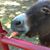 Betty Jean Cook's profile image