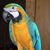 Charlene Rochel's profile image