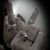 Love Peace Vibes's profile image