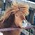 Kathy Eltzroth Townsend's profile image