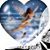 Shelley Ecklund's profile image