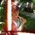 Glen Swank's profile image