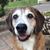 Carol Buterbaugh's profile image