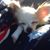 Sharon Baughman's profile image