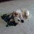 Michele L Deer Kuhar's profile image