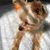 Kimberly Caso's profile image