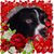 Karen Denovel's profile image