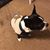 Sandra Sanford Lowe's profile image