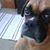 Robert Lamoureux's profile image