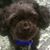 Mary Perez's profile image
