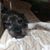 Mary Szelog Taylor's profile image