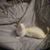 Shannon Pote-dixon's profile image