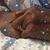 Vonetta Walker's profile image