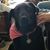 Pamela L. Kindberg McKnight's profile image