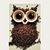 Kelli Bercovitch's profile image