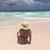 Kara Campbell's profile image