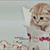 Bishoy Esam's profile image
