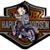 Lisa De LaHamaide's profile image