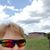 Jane Shackelford Mitchell's profile image